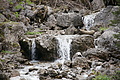 DSC09766 - Bernhard Saalfeld
