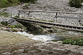 DSC09770 - Bernhard Saalfeld