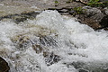 DSC09780 - Bernhard Saalfeld
