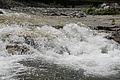 DSC09781 - Bernhard Saalfeld