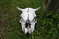 DSC09798 - Bernhard Saalfeld