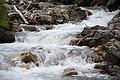 DSC09808 - Bernhard Saalfeld