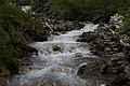 DSC09811 - Bernhard Saalfeld