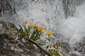 DSC09839 - Bernhard Saalfeld