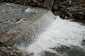 DSC09840 - Bernhard Saalfeld