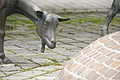 DSC09892 - Bernhard Saalfeld