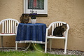 DSC09894 - Bernhard Saalfeld