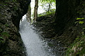 DSC09899 - Bernhard Saalfeld