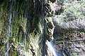 DSC09910 - Bernhard Saalfeld