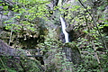 DSC09911 - Bernhard Saalfeld
