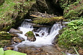 DSC09921 - Bernhard Saalfeld