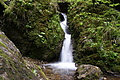 DSC09926 - Bernhard Saalfeld