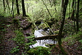 DSC09927 - Bernhard Saalfeld