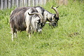 DSC09928 - Bernhard Saalfeld