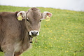DSC09947 - Bernhard Saalfeld