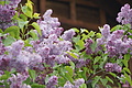 DSC09953 - Bernhard Saalfeld