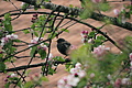 DSC09959 - Bernhard Saalfeld