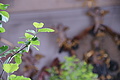 DSC09989 - Bernhard Saalfeld