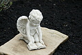 DSC09994 - Bernhard Saalfeld