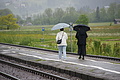 DSC09995 - Bernhard Saalfeld