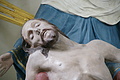 DSC10002 - Bernhard Saalfeld