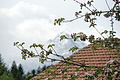 DSC10009 - Bernhard Saalfeld