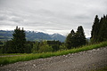 DSC10016 - Bernhard Saalfeld