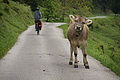 DSC10029 - Bernhard Saalfeld