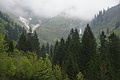 DSC10044 - Bernhard Saalfeld