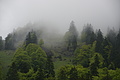 DSC10045 - Bernhard Saalfeld