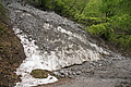 DSC10048 - Bernhard Saalfeld