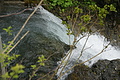 DSC10053 - Bernhard Saalfeld