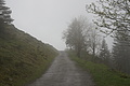DSC10057 - Bernhard Saalfeld