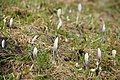 DSC10070 - Bernhard Saalfeld