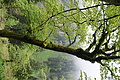 DSC10074 - Bernhard Saalfeld