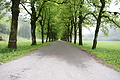 DSC10078 - Bernhard Saalfeld