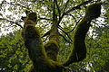 DSC10081 - Bernhard Saalfeld