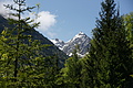 DSC10086 - Bernhard Saalfeld