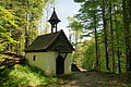 DSC10095 - Bernhard Saalfeld