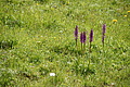 DSC10103 - Bernhard Saalfeld