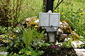 DSC10104 - Bernhard Saalfeld