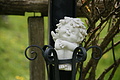DSC10105 - Bernhard Saalfeld