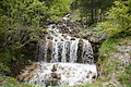 DSC10115 - Bernhard Saalfeld