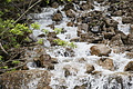 DSC10120 - Bernhard Saalfeld