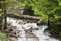 DSC10121 - Bernhard Saalfeld