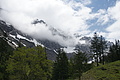 DSC10135 - Bernhard Saalfeld