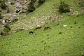 DSC10140 - Bernhard Saalfeld