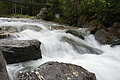 DSC10178 - Bernhard Saalfeld