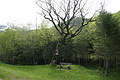 DSC10184 - Bernhard Saalfeld