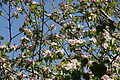 DSC10192 - Bernhard Saalfeld